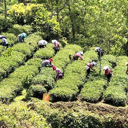 奋起湖天一休闲民宿公寓 外观 照片