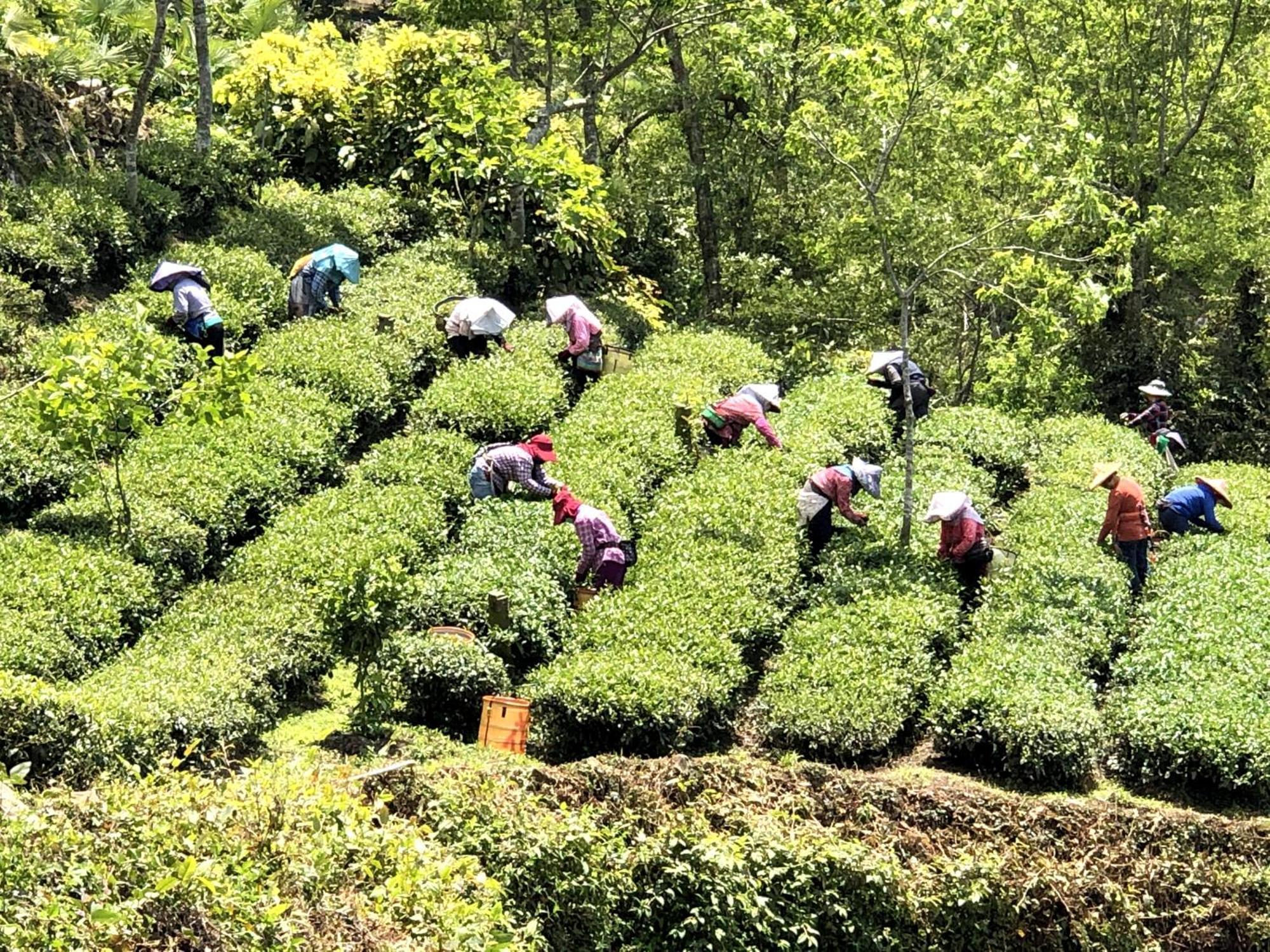 奋起湖天一休闲民宿公寓 外观 照片